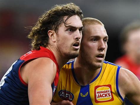 West Coast Eagles Afl Team News Ladder Fixtures And Results News