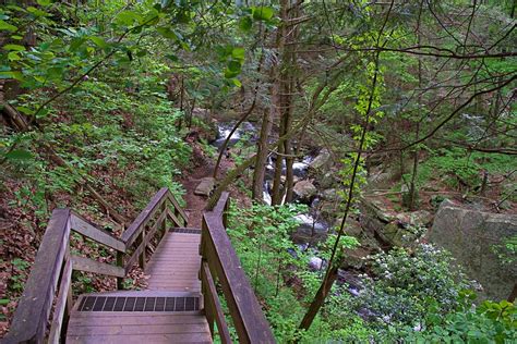 Cloudland Canyon Hiking and Photography Guide - Know Before You Go
