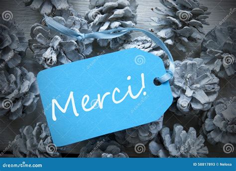 Light Blue Label On Fir Cones Merci Means Thank You Stock Image Image