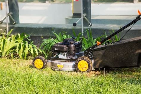 Os 10 Melhores Cortadores De Grama A Gasolina De 2024 Tramontina