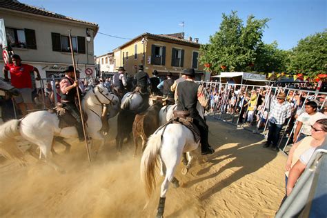 Un samedi de fête avec le Club Taurin lAbrivado Voir Plus