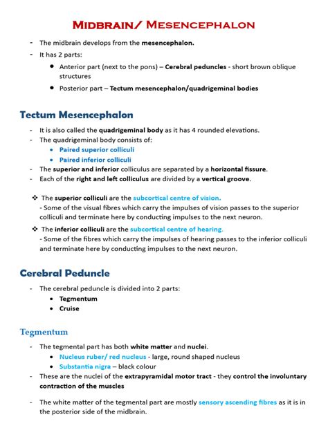 Anatomy of Mesencephalon - Med School Anatomy - Everything You Need To ...