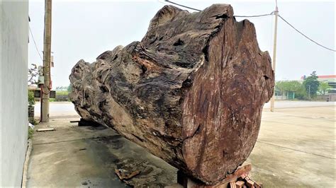 Amazing Sawmill Wood Cutting Giant Ancient Tree Stump Reveals