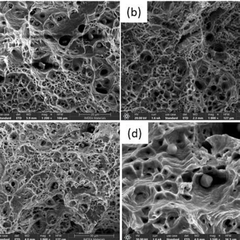 Sem Images Of Fracture Surfaces Of A C B C C C D C At