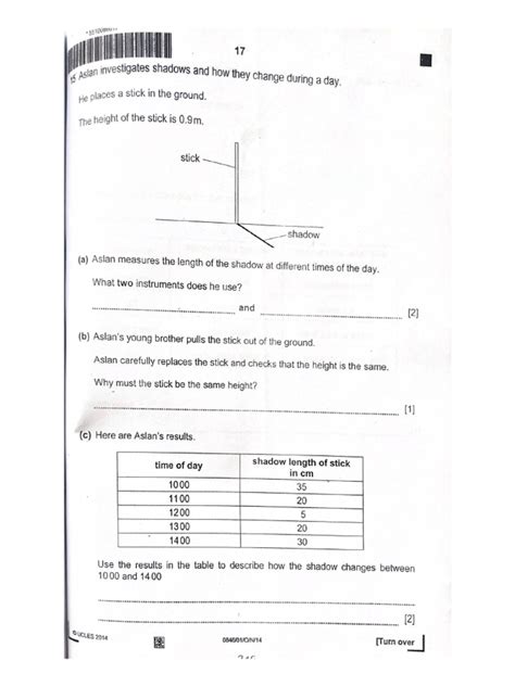 Review Materials 4 | PDF