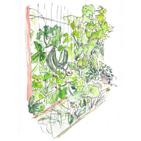 Absolute Chaos Up The Trail Becca Foxx S Outdoor Footjob That Broke Rules news