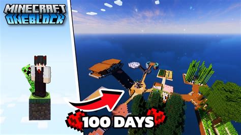 Surviving 100 Days In Oneblock Minecraft Hardcore Hindi