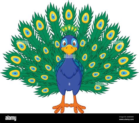 Cartoon beautiful peacock Stock Vector Image & Art - Alamy