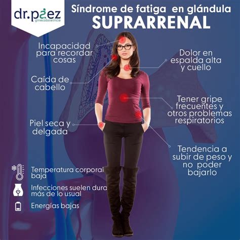 Fatiga Adrenal O Fatiga Suprarrenal Hipoadrenia No Addisoniana