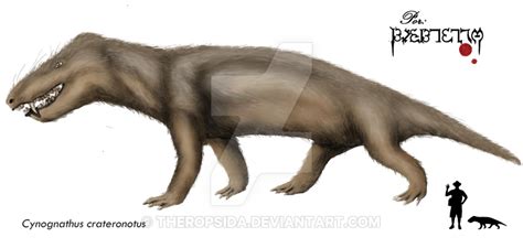 Cynognathus Datos Y Curiosidades Antes De Los Dinosaurios