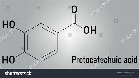 Protocatechuic Acid Pca Green Tea Antioxidant Royalty Free Stock Vector 2072942558