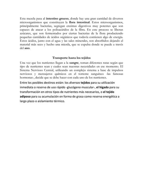 El Proceso De La Digestion Pdf