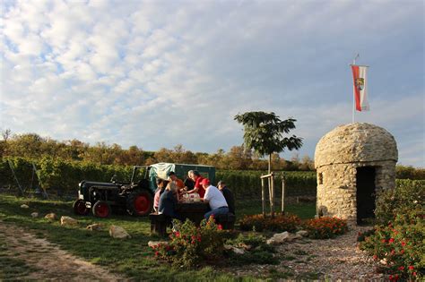 Weingut G Stehaus Beyer B Hr Winery In Rheinhessen Winetourism