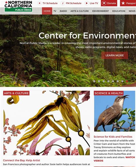 About — Josie Iselin