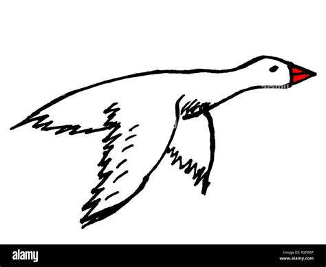 Bird Flight Drawing Stock Photos & Bird Flight Drawing Stock Images - Alamy