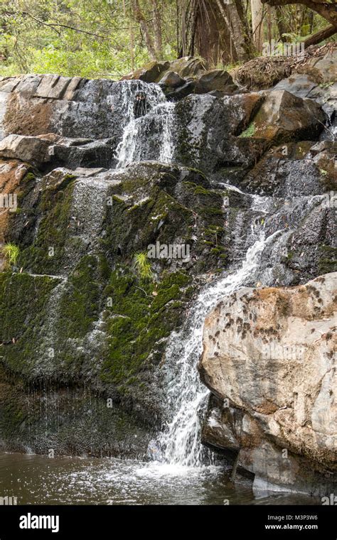 Upper Lilydale Falls, Lilydale, Tasmania, Australia Stock Photo - Alamy