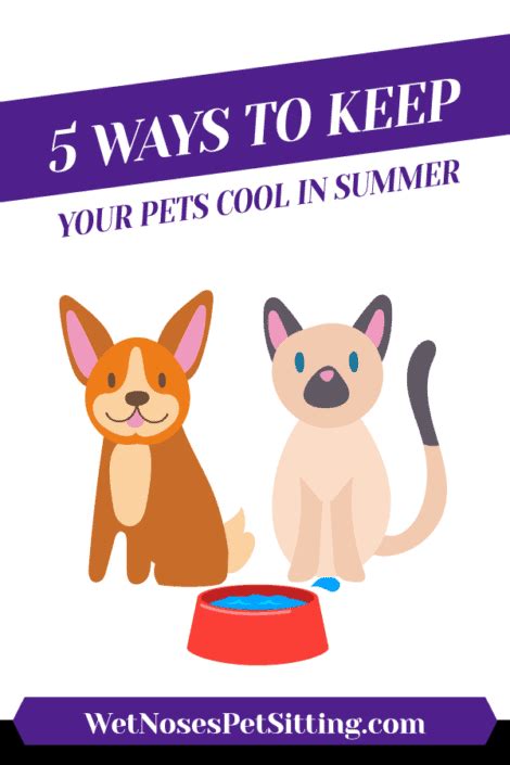 Ways To Keep Your Pets Cool In Summer Wet Noses Pet Sitting