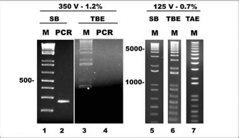 Full Article Sodium Boric Acid A Tris Free Cooler Conductive Medium