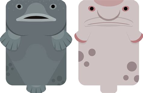 [Blobfish] Blob Sculpin (5c) : r/deeeepioskins