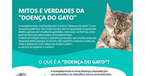 Toxoplasmose Infogr Fico Mostra Como O Desenvolvimento Da Doen A Do