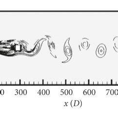 Instantaneous Vorticity Contours Visualization Of Square Cylinder In