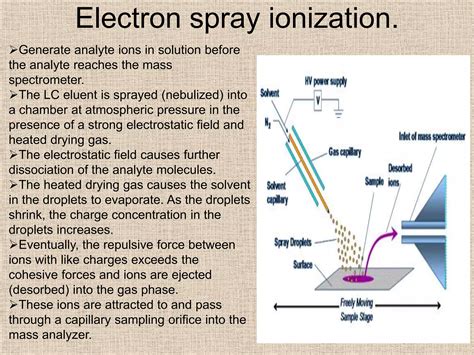 Liquid Chromatography Mass Spectroscopy LC MS PPT