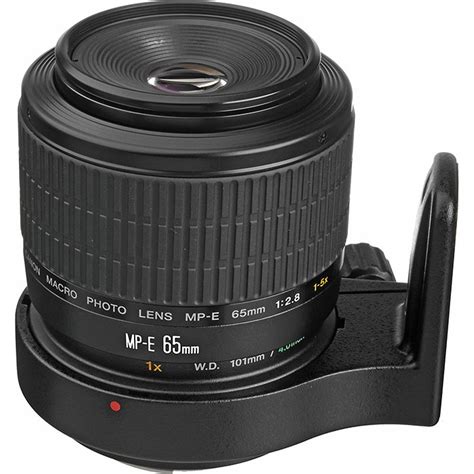 What is a Macro Lens? (Full Macro Photography Lens Guide)