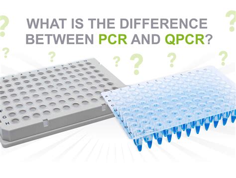 Antwort What Is The Main Difference Between PCR And QPCR Weitere