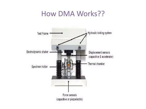 Dynamic Mechanical Analysis Dma Ppt