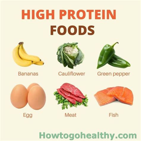 High Protein Foods