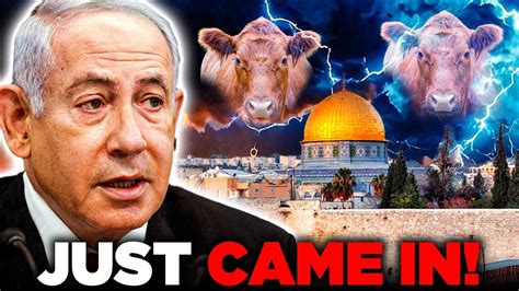 Netanyahu JUST REVEALED Who Will Sacrifice The Red Heifer YouTube