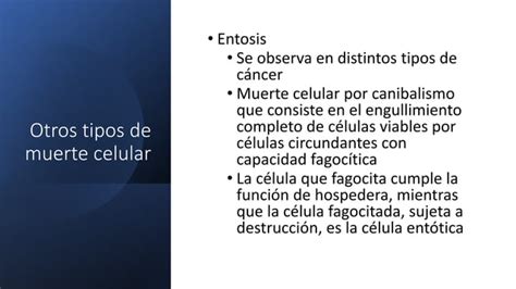 Apoptosis Muerte Celular Programada Puntos Clave Y Tipos De Apoptosis