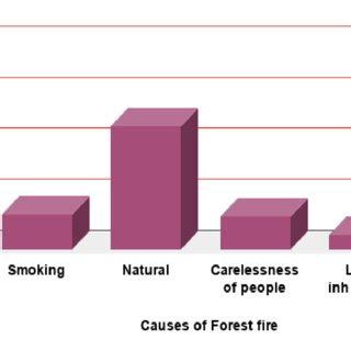 Causes of forest fire in BNP | Download Scientific Diagram