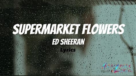 Ed Sheeran Supermarket Flowers Lyrics Youtube