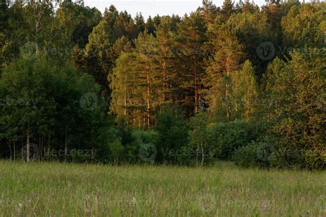 Latvian summer landscapes 17109822 Stock Photo at Vecteezy