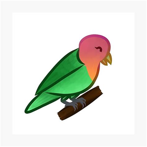 Cute Chibi Rosy Faced Lovebird Photographic Print By Shyparakeet