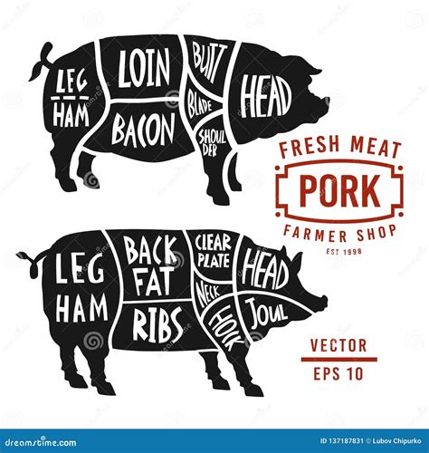 Meat Cuts Of Pork Vector Pig Silhouette Isolated On White Background