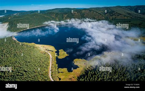 alpine national forest park Stock Photo - Alamy