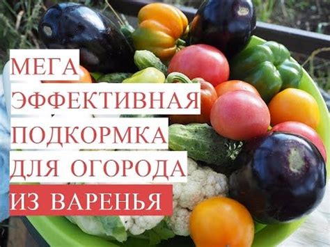 Мега Эффективная Подкормка для Огорода из ВАРЕНЬЯ! Байкал из Варенья ...