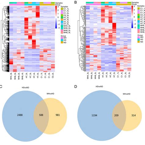 Differentially Expressed Lncrnas And Mrnas Analysis Clustering Heat Download Scientific