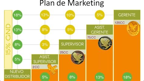 Entiendo El Plan De Marketingforever Living Products Youtube