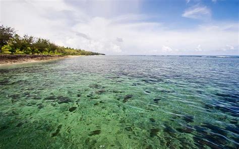 Article - Tonga Yacht Charter - Charter World