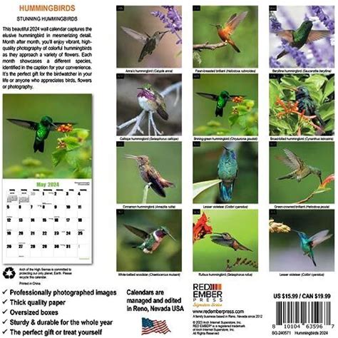 Hummingbirds Hangable Monthly Wall Calendar By Red Ember Signature