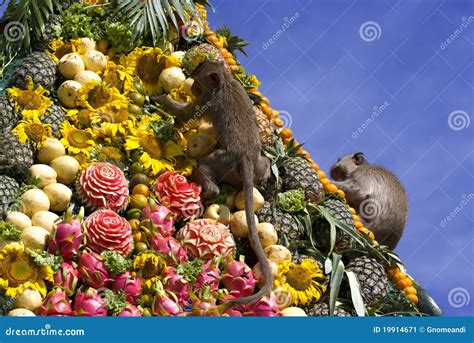 Monkey Buffet Festival In Thailand Stock Image - Image: 19914671