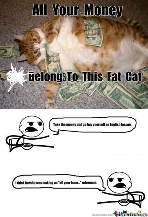 Fat Cat Meme - Funny Fat Cat Pictures with Quotes