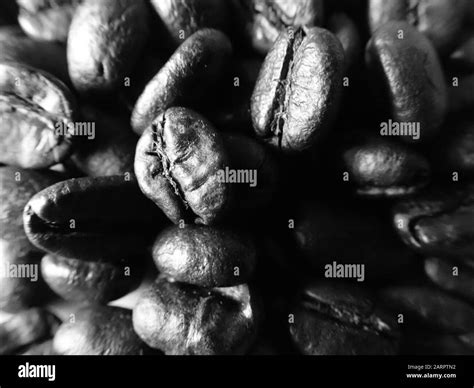 coffee beans in black and white Stock Photo - Alamy