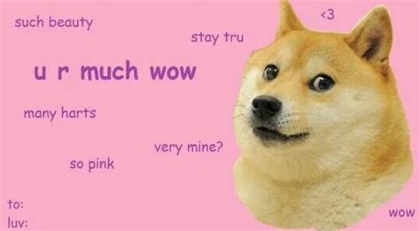 Doge On Twitter Wow Such Love Very Valentine Many