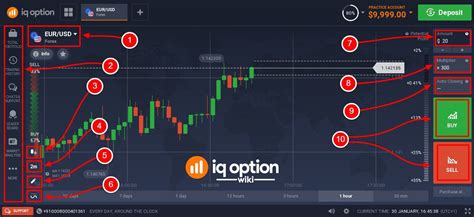 The Ultimate Iq Option Forex Trading Guide For Beginner Traders Iq