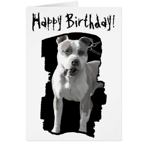 Happy Birthday Pitbull Greeting Card Zazzle