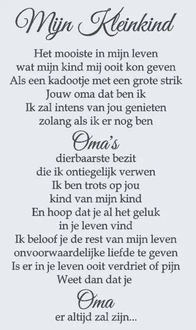 Tegen Dat Ik Kleinkinderen Heb Cool Words Wise Words Dutch Quotes